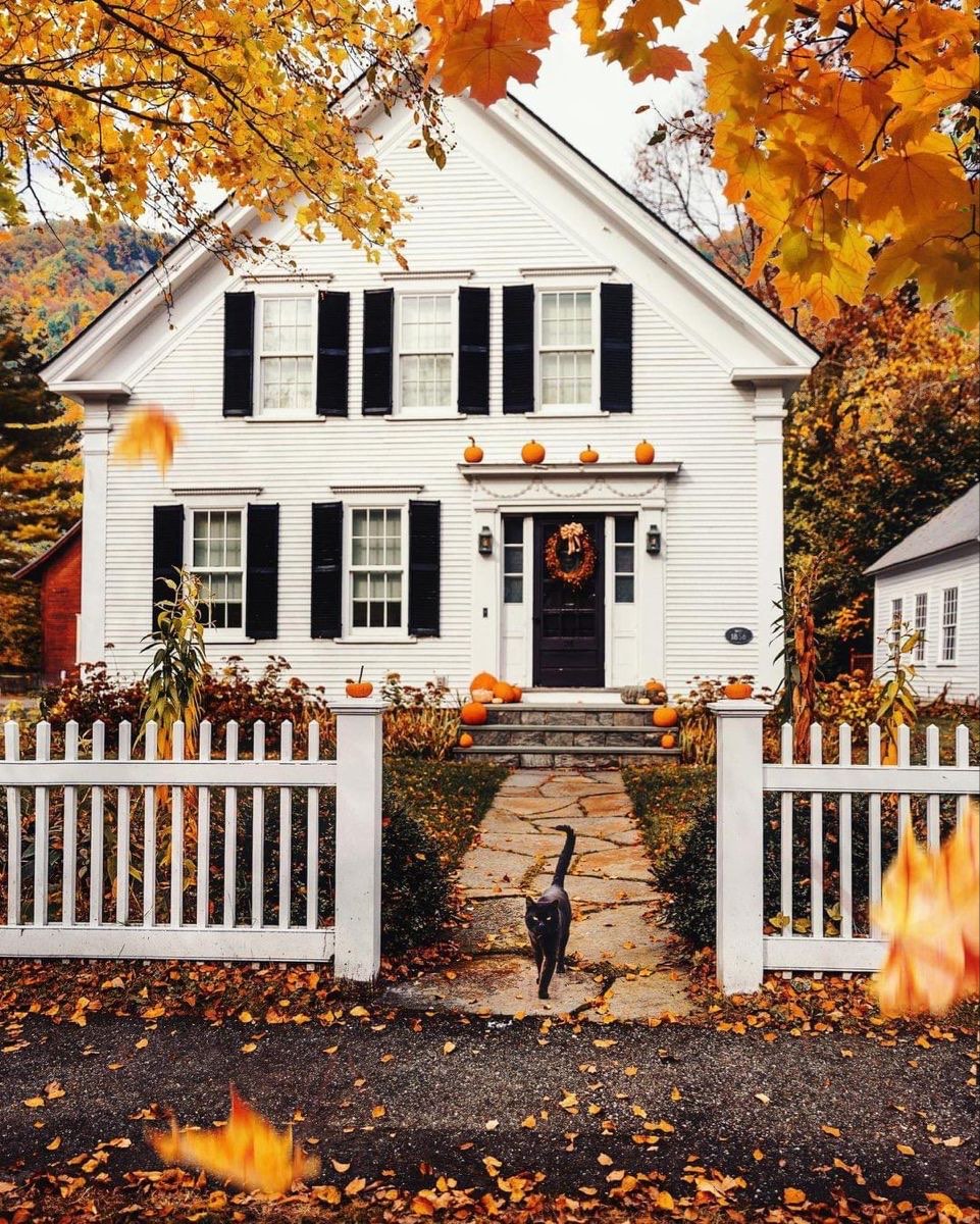 White farmhouse decorated for fall with pumpkins on the front steps, framed by orange maple leaves, with a black cat walking down the stone path